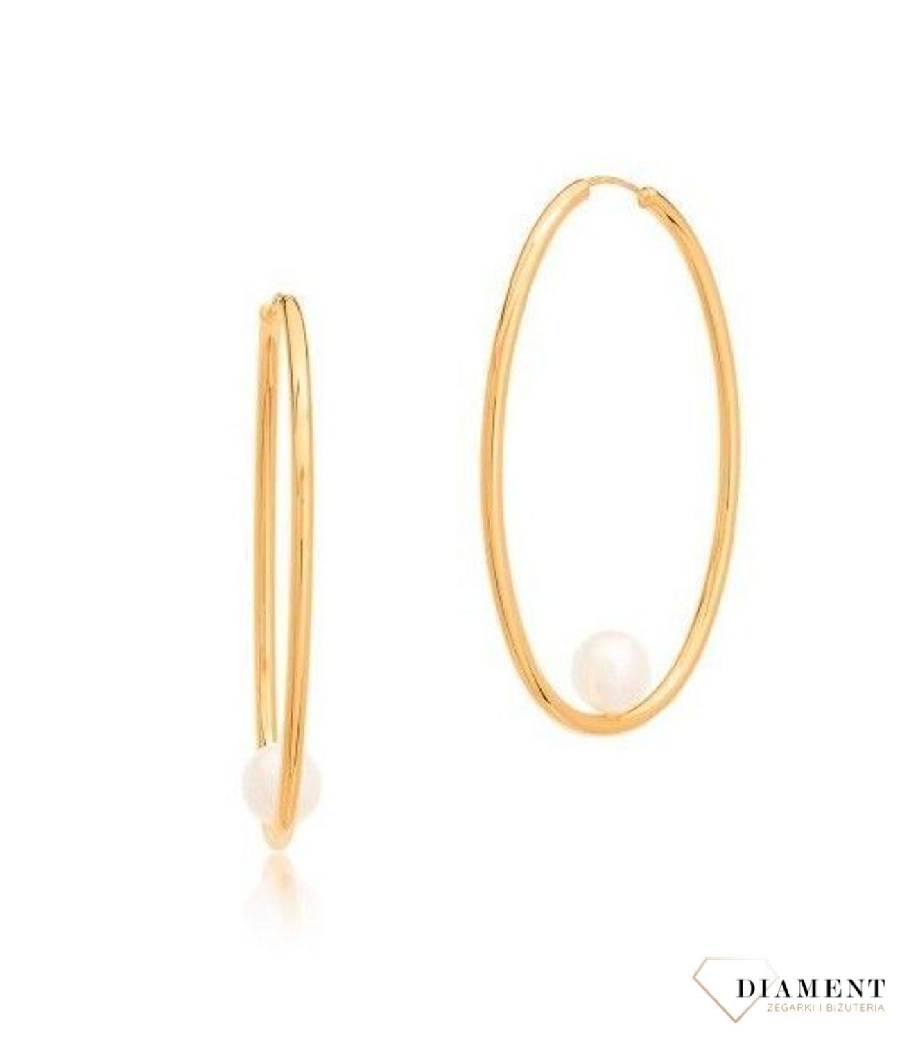 Złote kolczyki owalne koła Samotna Perła  DIA-KLC-LB US-1--585. Kolczyki koła zostały ozdobione perełką. Ich kształt jest uniwersalny.jpg